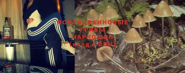 гидропоника Алексин