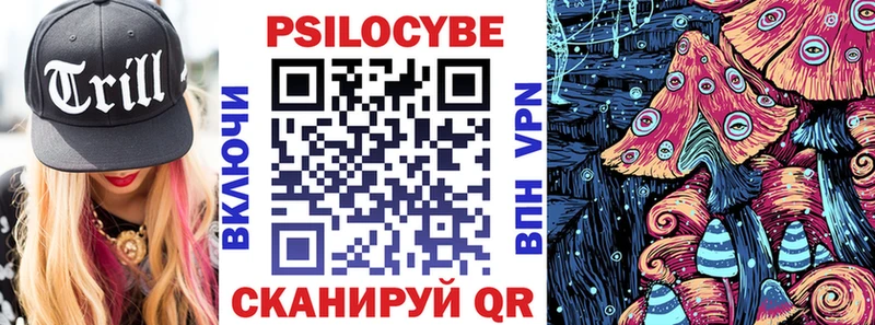 OMG ссылки  Собинка  Псилоцибиновые грибы Psilocybe 